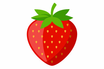 strawberry fruit vector illustration