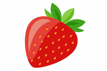 strawberry fruit vector illustration