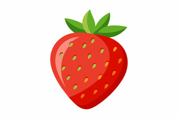 strawberry fruit vector illustration