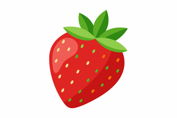 strawberry fruit vector illustration