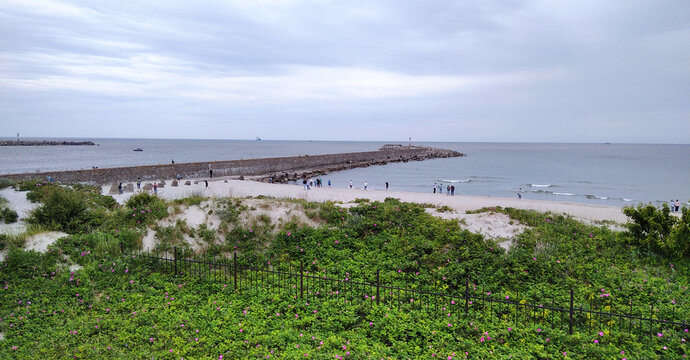 Baltiysk, Kaliningrad region, Russia. Coast of the Baltic Sea, Baltic dunes.