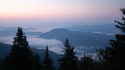 Valley full of fog during sunrise surrounded by mountains and forest, shot in Slovakia, Europe