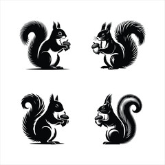  Squirrel Vector silhouette ‍Illustration.