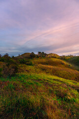 sunset over the field