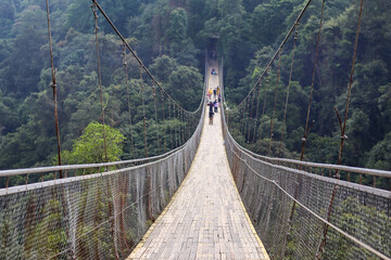 Fototapeta premium suspension bridge featuring steel construction and a wooden deck, blending modern engineering with natural materials. Ideal for showcasing architectural innovation and scenic beauty