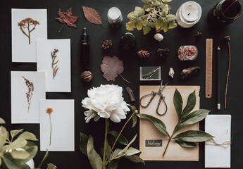 Dark academia and biology aesthetic flat lay, desk view, black background, vintage styling