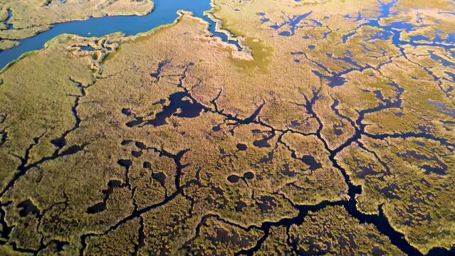 Aerial footage of Dalyan Delta wetland sunny weather in summer wide view of the delta closeup camera moves forward Mugla TURKEY