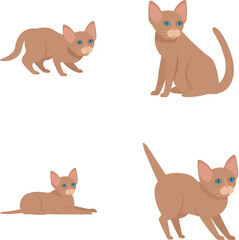 Collection of cute cartoon burmese cats illustrated in different postures