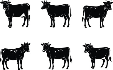 Fototapeta premium farm animals collection vector