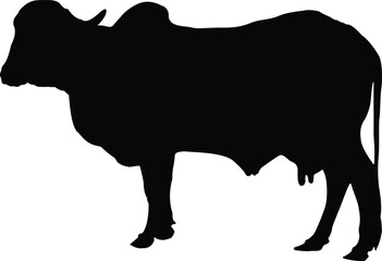 cow vector art illustration design.