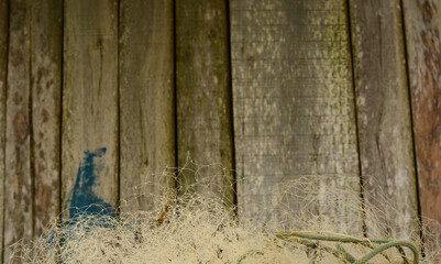 textura de parede de madeira e rede de pesca