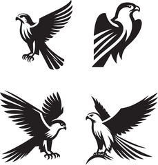 falcon bird silhouette vector