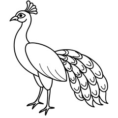 Fototapeta premium peacock cartoon line art outline coloring page nursery room decor illustration, isolated on transparent background 