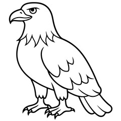 Obraz premium eagle cartoon line art outline coloring page nursery room decor illustration, isolated on transparent background 