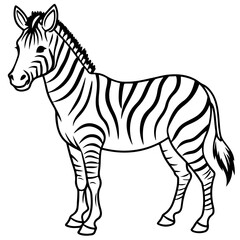 Fototapeta premium zebra cartoon line art outline coloring page nursery room decor illustration, isolated on transparent background 