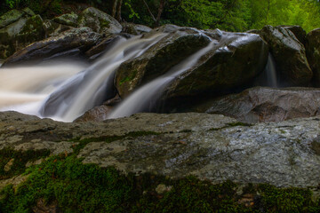Fototapeta premium Cascading creek in the Appalachian mountains