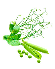 Green peas and pea plant with pods, on a white background