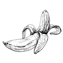 Banana half peeled. Vintage vector hatching color hand drawn illustration