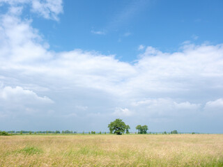Natuurgebied bij Hierden, Gelderland