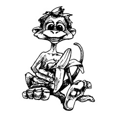 Monkey holding banana half peeled. Vintage vector hatching color hand drawn illustration isolated on white background.