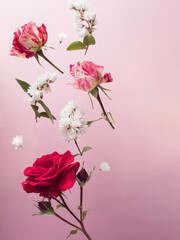 Deconstructed bouquet of red roses and white flowers on light background