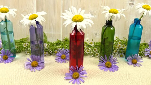 Large garden chamomile flowers placed in the transparent colorful glass bottles with water and purple asters placed in a row, summer decor,  background.