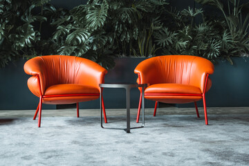 Orange lounge chairs on a gray carpet with a dark background with monstera plants. I small round coffee table completes this modern and minimalistic interior design