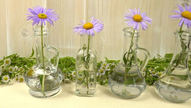 Purple asters like a chamomile placed in the transparent glass bottles with water, standing in a row. Spring decor, background.