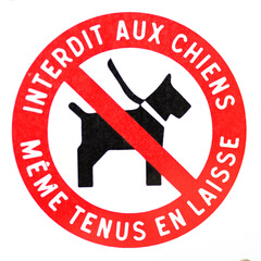 Interdit aux chiens