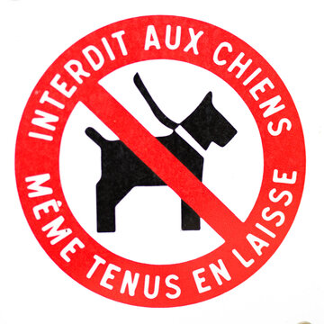 Interdit aux chiens