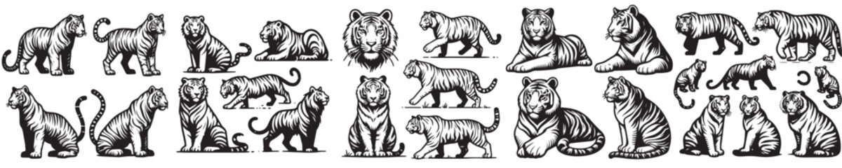 vector set of tigers with a simple silhouette style