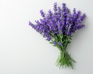 Naklejka premium Flowers From Above. Lavandula Bouquet in Blossoming Purple and Blue on White Background