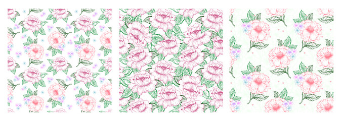 Spring pink peony flower seamless pattern set with line art colorful flower. Chines peon and little flower background © Oksana