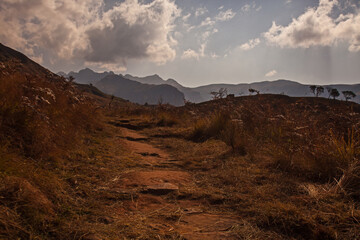 Drakensberg Mountain Scene 15799
