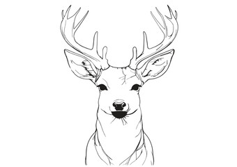 deer vector illustration line art
