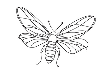 graphic illustration of a firefly beetle, bug in one line. line drawing