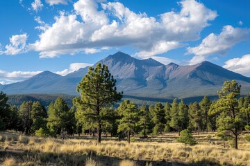 Flagstaff Arizona. Landscape showcasing Humphreys Peak, the Tallest Mountain in Arizona