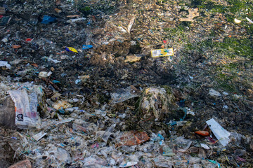 A pool covered in algae, surrounded by scattered litter, showcasing the true face of nature and human impact