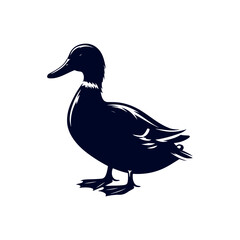 Duck silhouette Clip art isolated vector illustration on white background