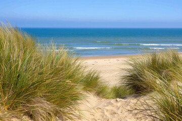 East Coast Beach. Stunning View of Camber Sands - Sandy Beach in East Sussex, England