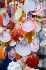 Bundle of colorful seashell. Various kinds of home decoration from sea shells. Souvenirs and gifts for sale from Greece, Europe. Ornaments made from seashells. Travel concept