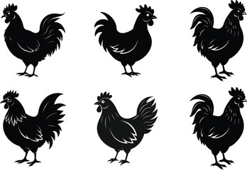 set of chicken