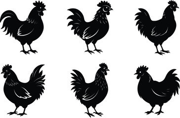 rooster and hens