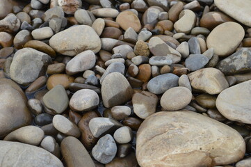 stones on the beach Pebbles near the lake round stones in water, natural resource macro clean water dry and wet