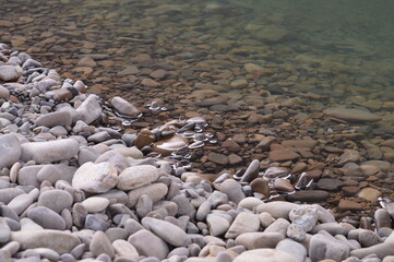 stones on the beach Pebbles near the lake round stones in water, natural resource macro clean water dry and wet