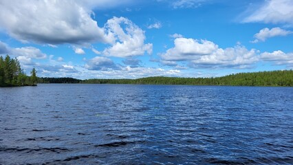 Summer landscape in Sweden, dense forest and big lake, panoramic view

