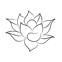 lotus flower line vector