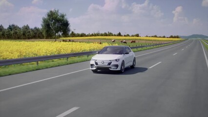 Generic autonomous electric car driving along highway through countryside with lush fields, solar panels and wind turbines in background. Renewable energy concept. 3d rendering animation