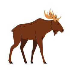 Cute moose. Forest animal. Vector illustration. White isolated background.