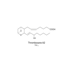 Obraz premium Thromboxane A2 skeletal structure diagram.Prostanoid compound molecule scientific illustration on white background.